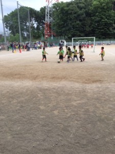 芝南/川口アイシンク少年サッカ‐鳩ヶ谷市小学生一二三四五年幼児