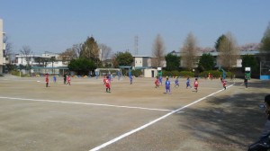 スプリングカップ川口アイシンク少年サッカ‐鳩ヶ谷市小学生一二三四五年幼児