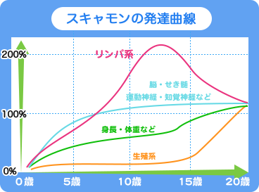 スキャモンの発達曲線 川口市 旧鳩ヶ谷市 サッカーチーム スクール 少年 小学生 幼児 ジュニア クラブ アイシンク