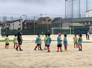 紅白戦鳩ケ谷高校川口鳩ヶ谷市小学生一二三四五六年幼児クラブチーム