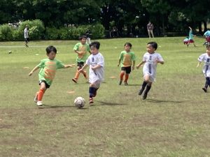 U-8埼玉県クラブユース鳩ケ谷Jリーグリーガープロ川口市アイシンク新郷南安行東慈林神根小学校小学生一二三四五六年幼児少年サッカークラブチーム