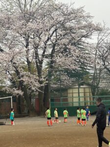 U-8試合優勝上手くなる自分たちで考えるチーム鳩ヶ谷Jリーグリーガープロ川口市アイシンク新郷南安行東慈林神根東桜町小学校小学生一二三四五六年幼児少年サッカークラブチーム